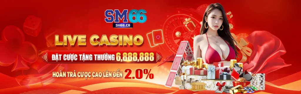 banner sm66co